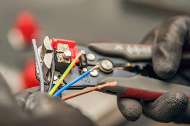 Best Electrical System Inspection  in Fallon, NV