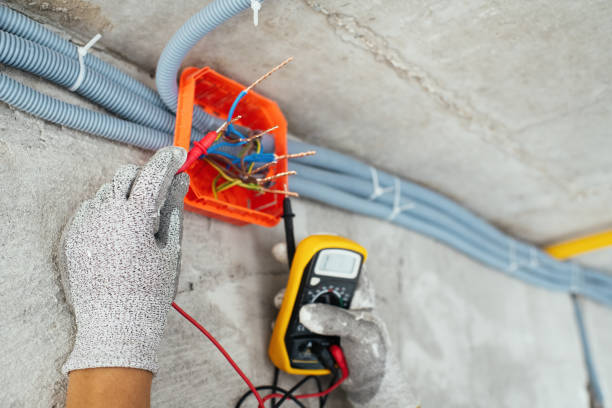 Best Local Electrician Companies  in Fallon, NV
